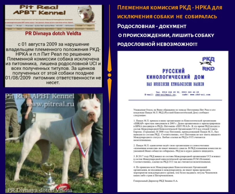 Обман Марии Пащук ПИТ РЕАЛ